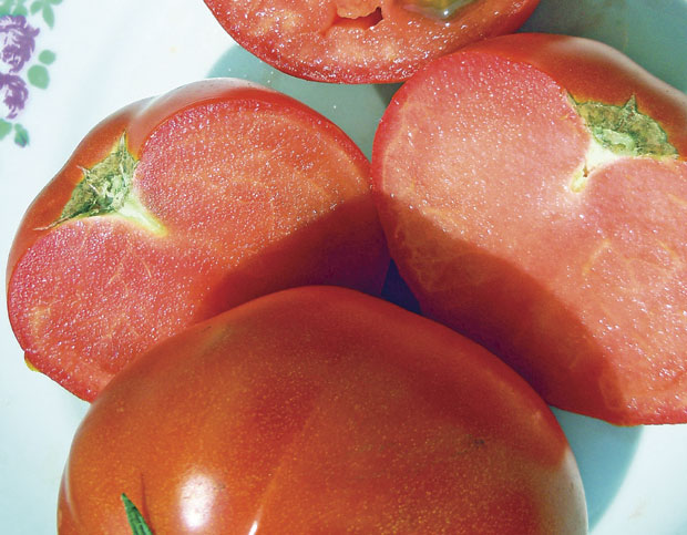 Како да сами гајите укусан парадајз